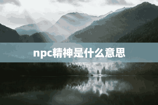 npc精神是什么意思(NPC精神是什么意思)